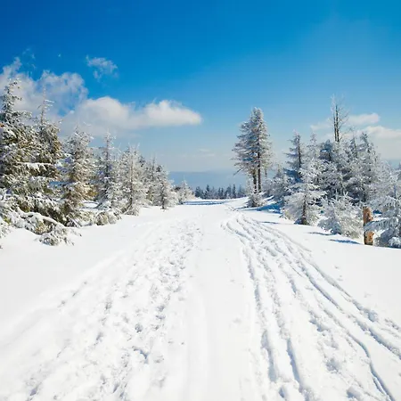 Appartamento Wilaneska Olimpijska *
