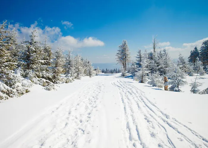 Apartment Wilaneska Olimpijska *