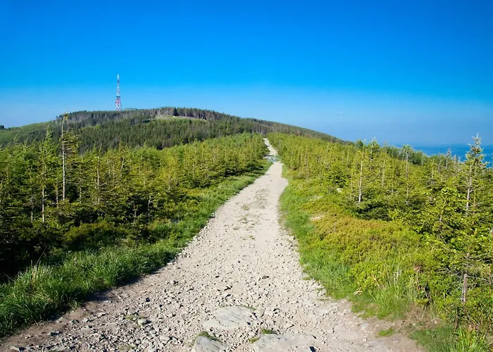 Apartment Wilaneska Olimpijska